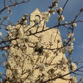 Meteo Pasqua e Pasquetta