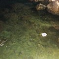 Mare sporco a Levante: colpa di chi?