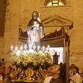 Fede e devozione per San Francesco da Paola