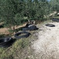 L'agro si riempie di copertoni abbandonati (FOTO)
