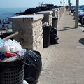 Litorale di Giovinazzo sporco: PVA attacca l'Amministrazione
