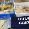 Conclusa l'operazione "Made in Italy " della Guardia Costiera