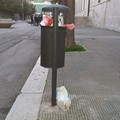 Lo sporcaccione di piazza Garibaldi colpisce ancora?