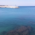 Domenica in spiaggia per i giovinazzesi: massime sui 32°
