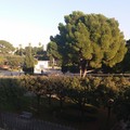 Il 22 dicembre s'inaugura la Villa Comunale restaurata