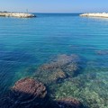 Domenica delle Palme col sole su Giovinazzo. Ma da lunedì arriva il maltempo