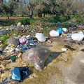 Rifiuti abbandonati nel Barese: 86 denunce e 32 patenti sospese nel primo semestre 2026