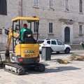 Nuove alberature in piazza Vittorio Emanuele II