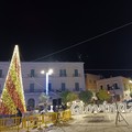 L'accensione del grande albero di Natale in piazza il 7 dicembre