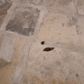 Piazza Duomo, già escrementi canini sulle "chianche " appena riposizionate