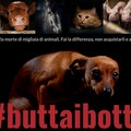 "Buttiamo via i botti ", l'appello di PrimaVera Alternativa