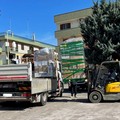 Il cuore grande di Giovinazzo: aiuti per ucraini in partenza da Bari