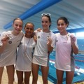 Campionato regionale in vasca lunga, ottimi risultati per la Netium Giovinazzo