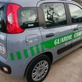 Pistola in pugno rapina agricoltore e gli porta via la motosega