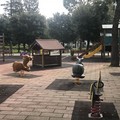 Area giochi Villa Comunale, la nuova pavimentazione decisa dai cittadini