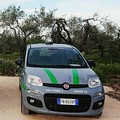 Rinnovo del contratto delle Guardie Campestri: «Trattativa mai avviata»