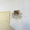 Tentano il colpo con il  "buco " in tabaccheria, ma scatta l'allarme