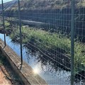 Percolato in discarica, la nota di PrimaVera Alternativa
