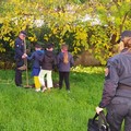 Giornata dell'albero, alla  "San Giovanni Bosco " arrivano i Carabinieri Forestali
