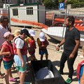 Un tuffo nel blu per la caretta caretta Rick