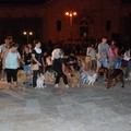 Oggi c'è la sfilata cinofila "I nostri amici a 4 zampe "
