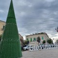 Stasera l'accensione dell'Albero di Natale Megamark in piazza Vittorio Emanuele II
