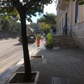 Sabato e domenica sanificazione delle scuole di Giovinazzo