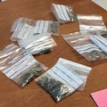 Spaccio di droga e furti, controlli dell'Arma. Due arresti