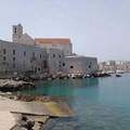 Domenica delle Palme con punte di 23° su Giovinazzo