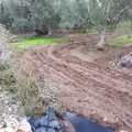 Lagunaggi in discarica, la preoccupazione di PrimaVera Alternativa