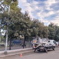 Verde Pubblico, Forza Giovinazzo risponde a PrimaVera Alternativa