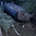 Perde il controllo e l'auto si ribalta: paura sulla Giovinazzo-Terlizzi