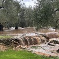 Maltempo, la situazione su Giovinazzo dopo una giornata di piogge intense