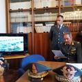 Bufera sull'ospedale di Molfetta, i nomi dei 12 arrestati