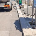 Piano irrigazione serrata: così l'amministrazione prova a combattere il caldo per le alberature giovinazzesi