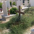 Sterpaglie ed erba alta: aree del cimitero di Giovinazzo in stato di degrado