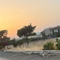 Tromba d'aria a Giovinazzo: crolla la recinzione di un fondo agricolo