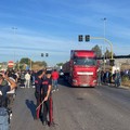 Protesta degli olivicoltori, PrimaVera Alternativa al loro fianco
