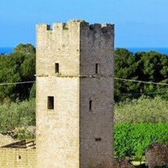  "Giornate di Primavera del FAI ", tutti gli appuntamenti