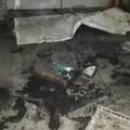 Incendio a Giovinazzo, brucia l'ex sala ricevimenti La Stella