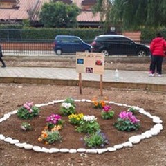 Gli scout abbelliscono il giardino Baden-Powell
