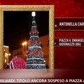 L'albero di Natale di Giovinazzo finisce al Tg2