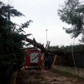 Golia: tanti interventi dei Vigili del Fuoco ma pochi danni