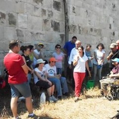 Domani si inaugura la Fattoria Sociale "Angeli della Vita "