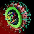 Le ultime novità su vaccini e terapie anti-Covid, tra buone e cattive notizie
