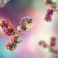 Anticorpi monoclonali: cosa sono e perché possono aiutare a combattere il Covid-19?