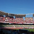 Bari-Frosinone, gli abbonati portano un amico con 5 euro