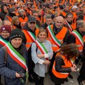 Depalma risponde a Gemmato: «Pronto ad andare a Roma per contrasto alla xylella»