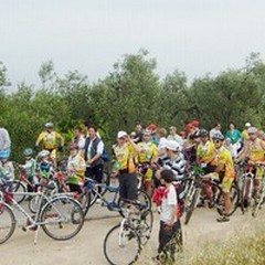 Ritorna "… e se prendessimo la bicicletta? "