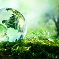 Alla Chiesa del Carmine una mostra sulla biodiversità